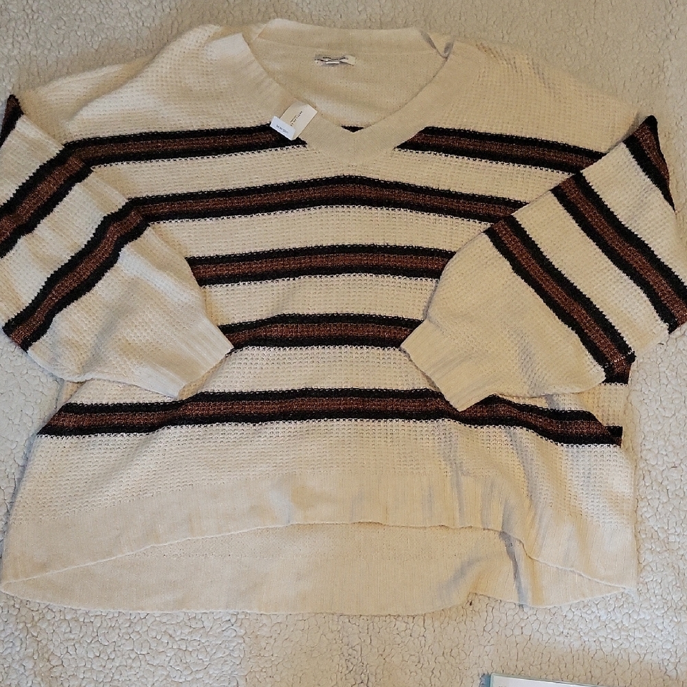 American Eagle Outfitters Cream and Black Striped V-Neck Sweater